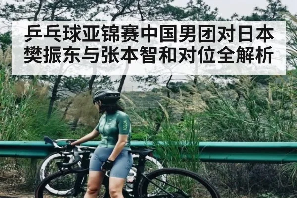 乒乓球亚锦赛中国男团对日本 樊振东与张本智和对位全解析